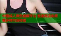 中国成人黄色视频平台 极速高清免费看多样内容体验