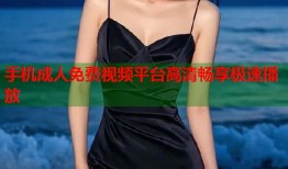 手机成人免费视频平台高清畅享极速播放