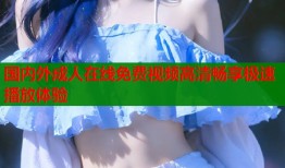 国内外成人在线免费视频高清畅享极速播放体验